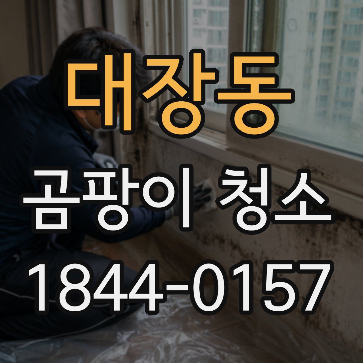 대장동 곰팡이 청소