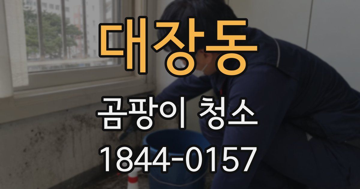 대장동 곰팡이 청소