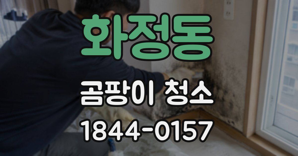 화정동 곰팡이 청소