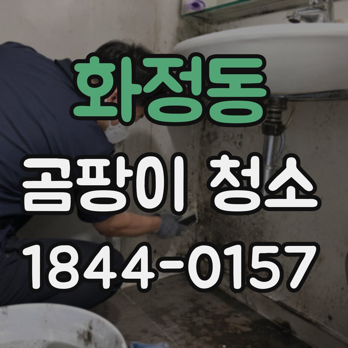 화정동 곰팡이 청소