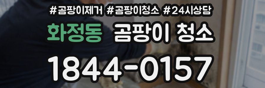 화정동 곰팡이 청소
