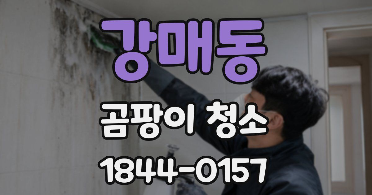 강매동 곰팡이 청소