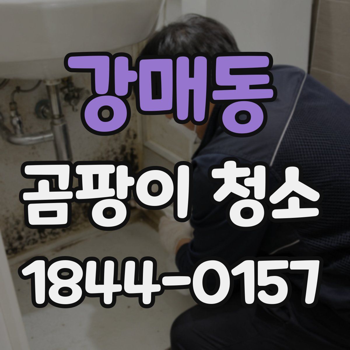 강매동 곰팡이 청소