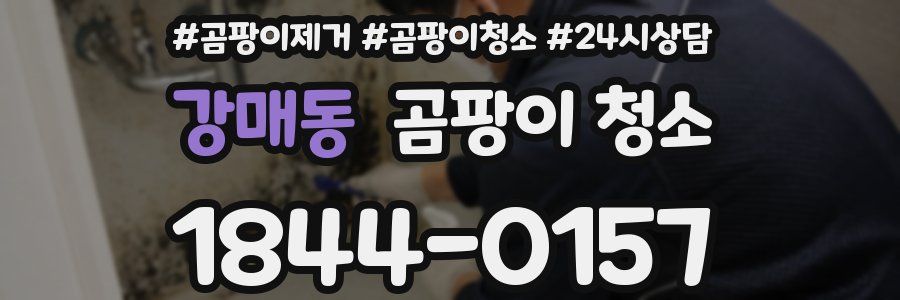 강매동 곰팡이 청소