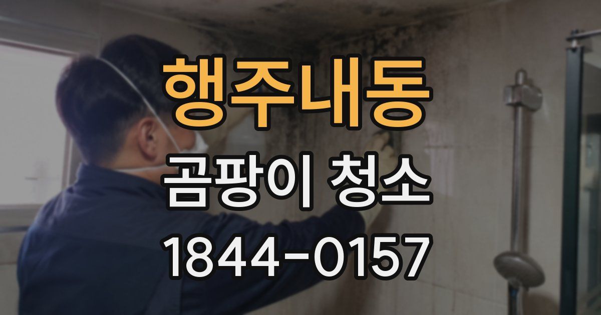 행주내동 곰팡이 청소