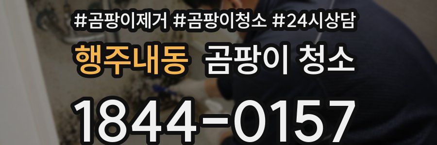 행주내동 곰팡이 청소