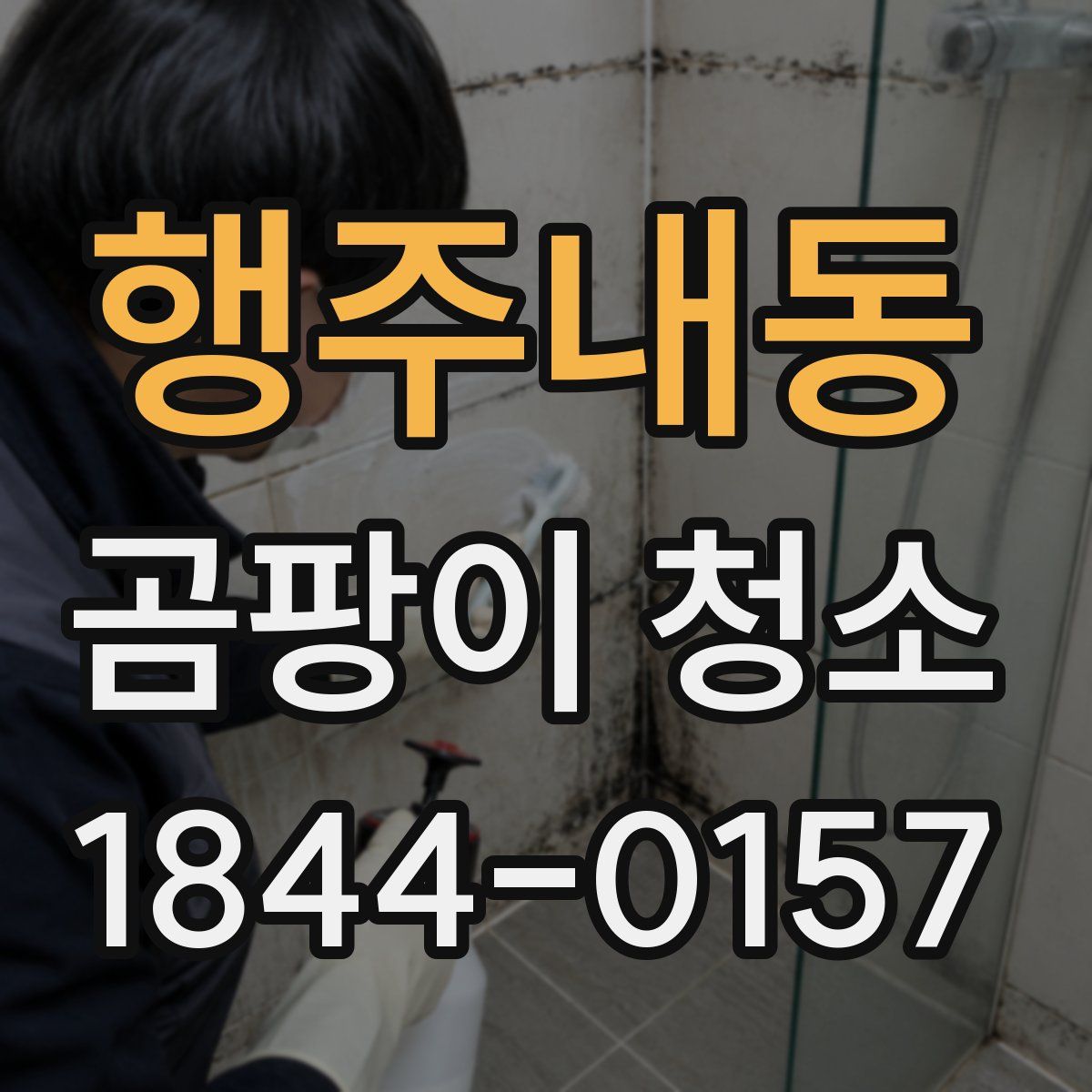 행주내동 곰팡이 청소