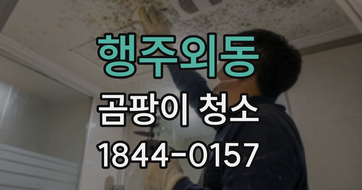 행주외동 곰팡이 청소