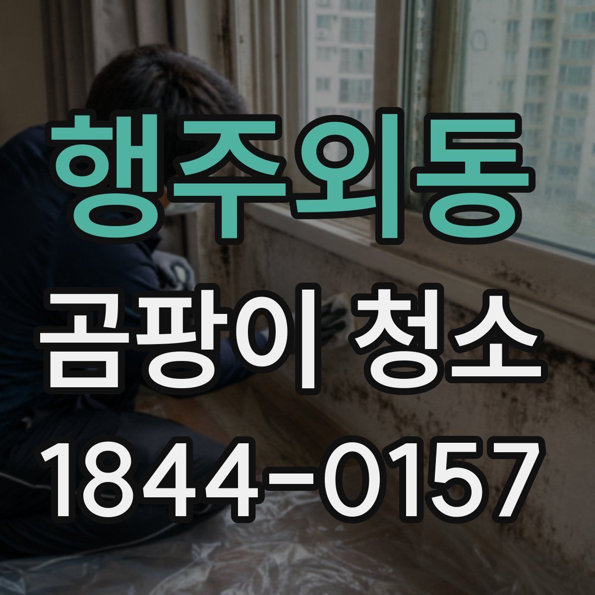 행주외동 곰팡이 청소