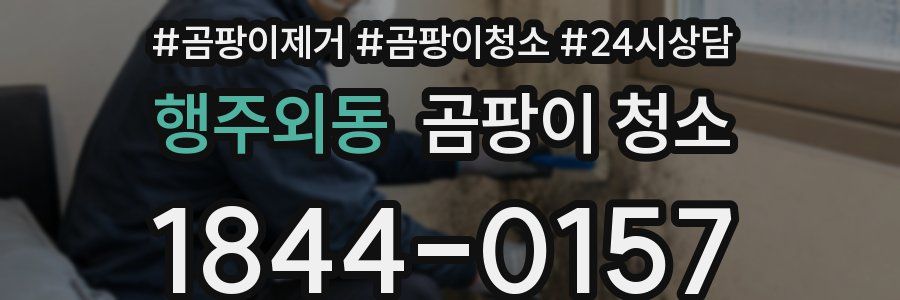 행주외동 곰팡이 청소