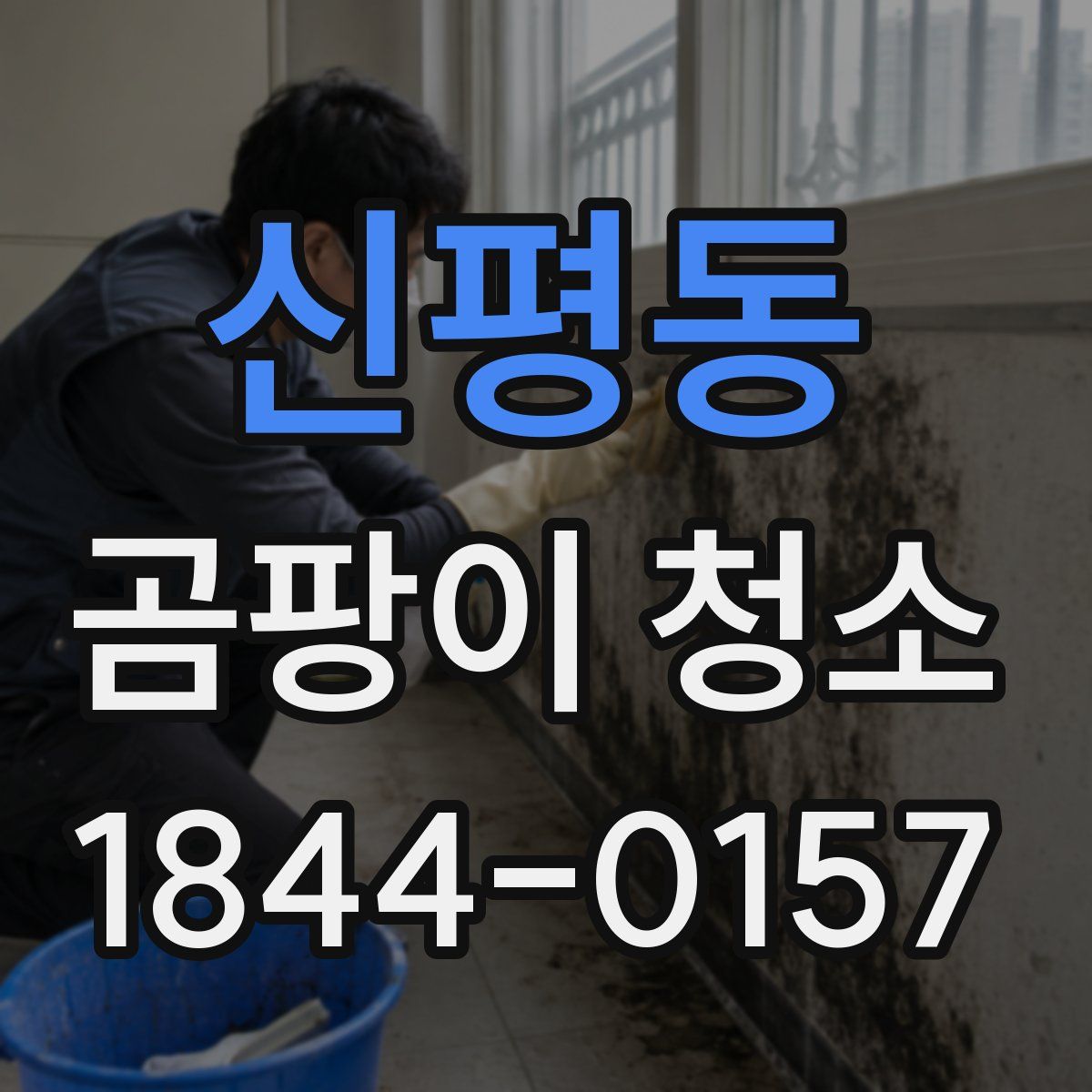 신평동 곰팡이 청소