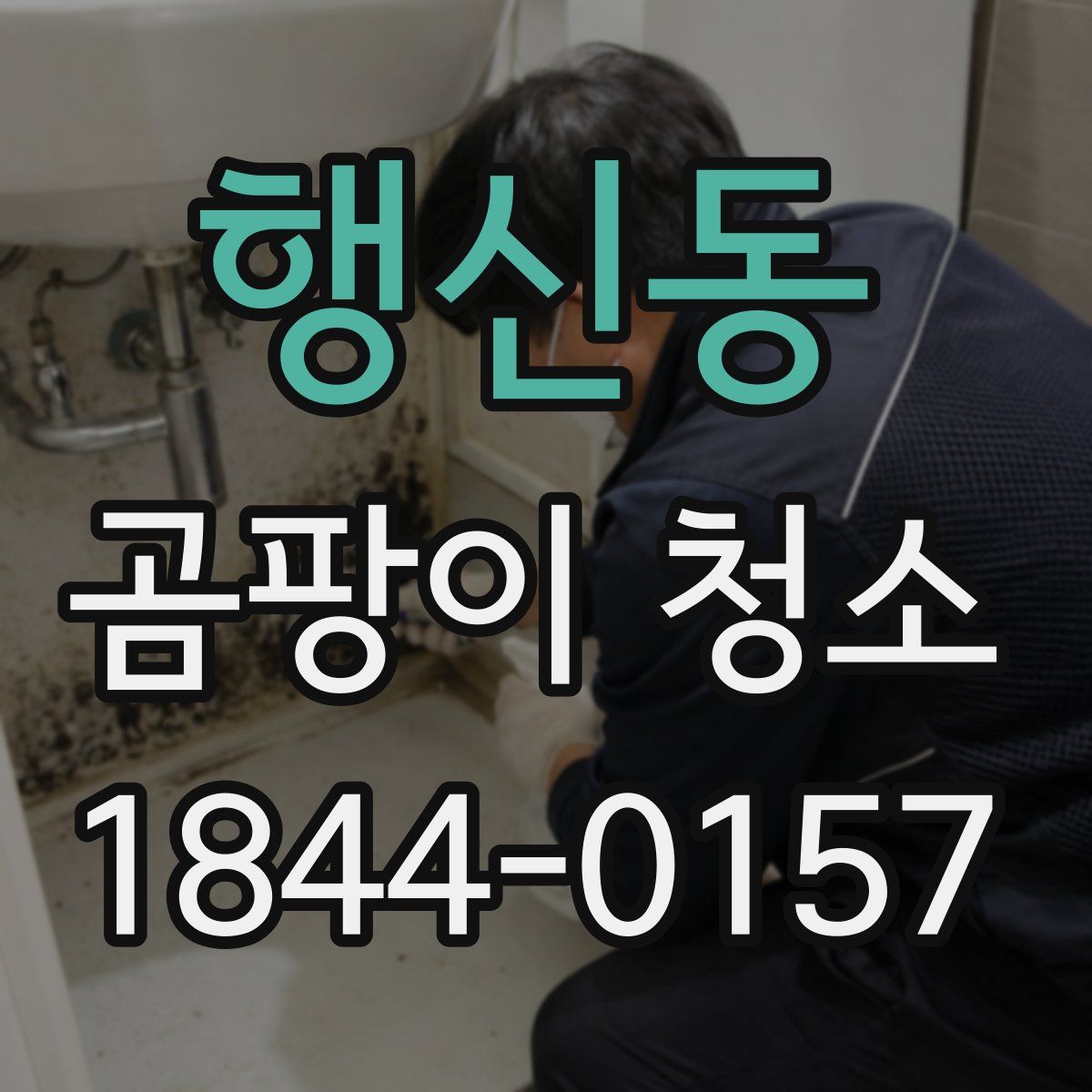 행신동 곰팡이 청소