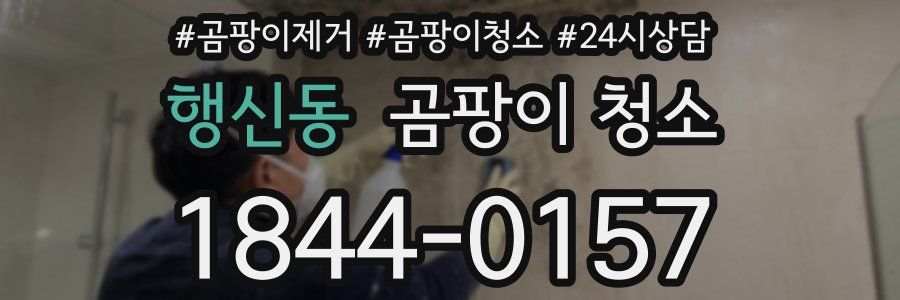 행신동 곰팡이 청소