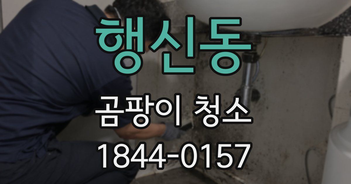 행신동 곰팡이 청소
