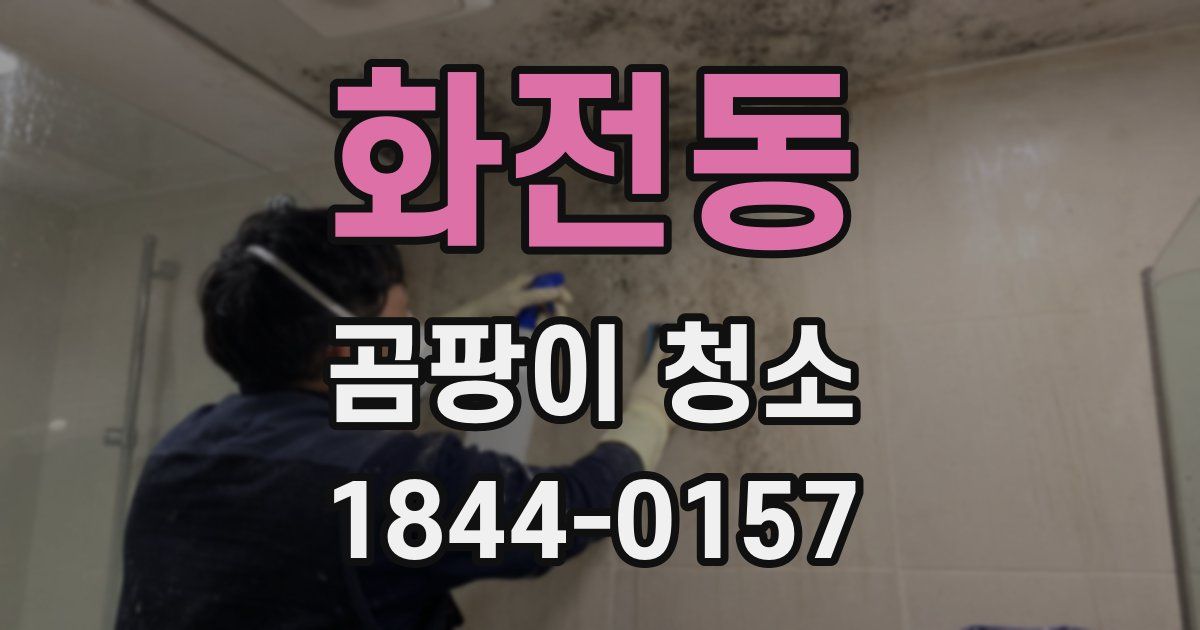 화전동 곰팡이 청소
