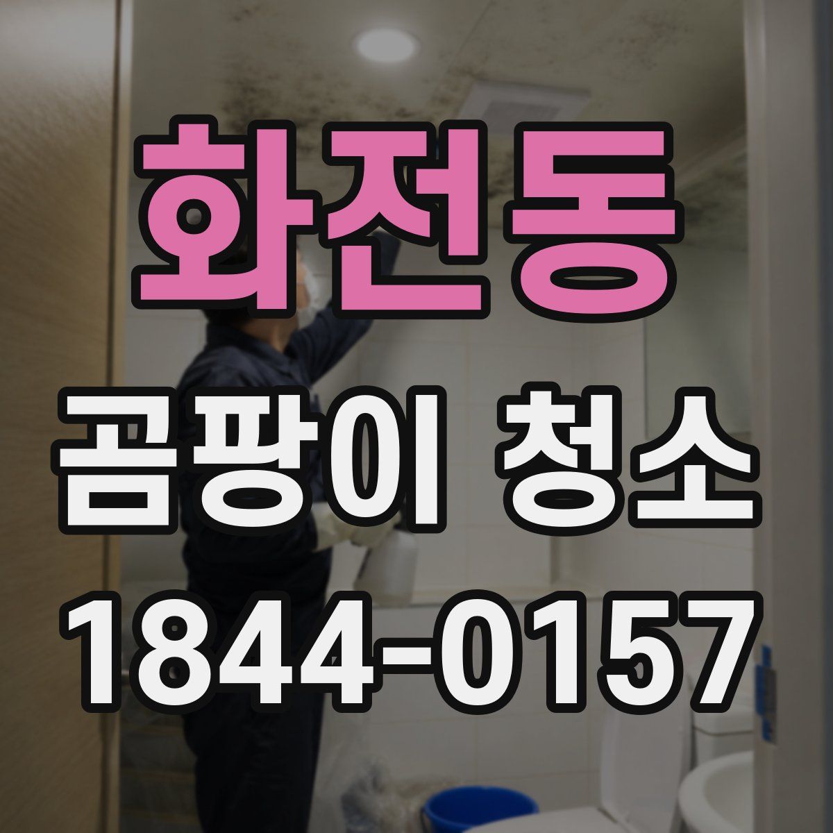 화전동 곰팡이 청소