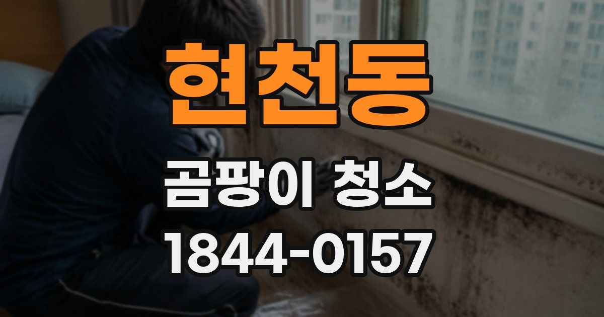 현천동 곰팡이 청소