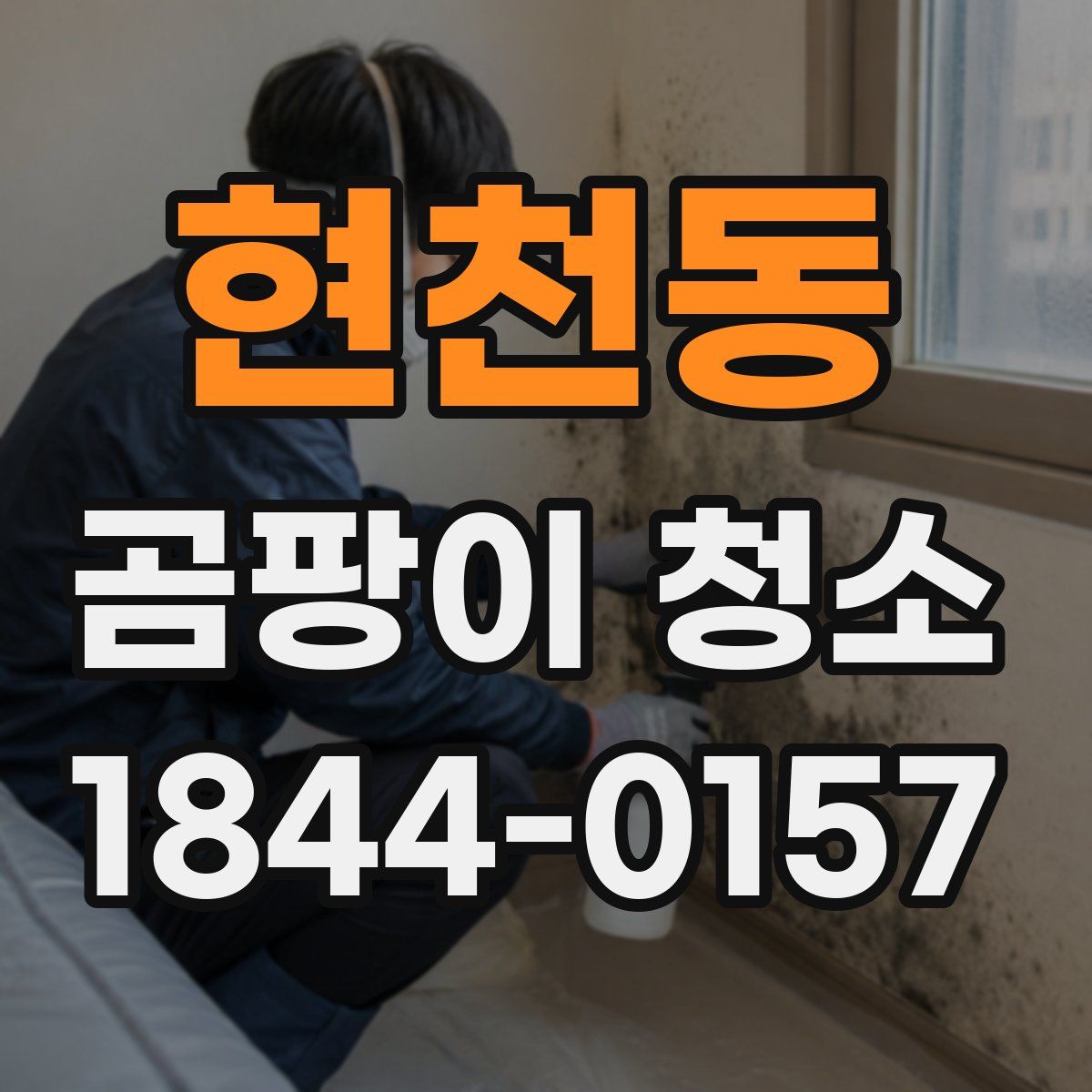 현천동 곰팡이 청소
