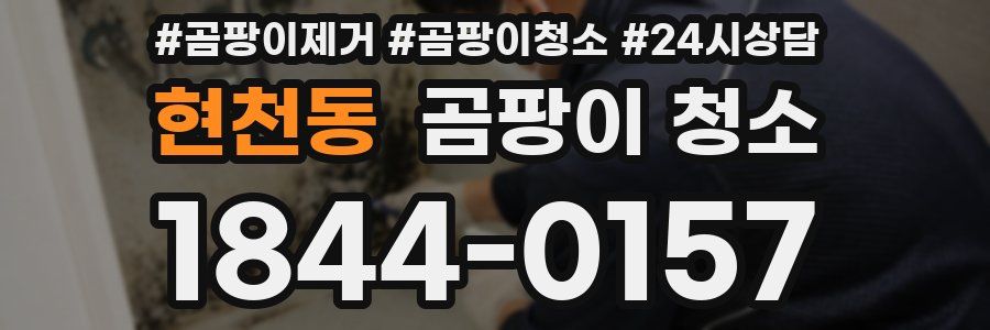 현천동 곰팡이 청소