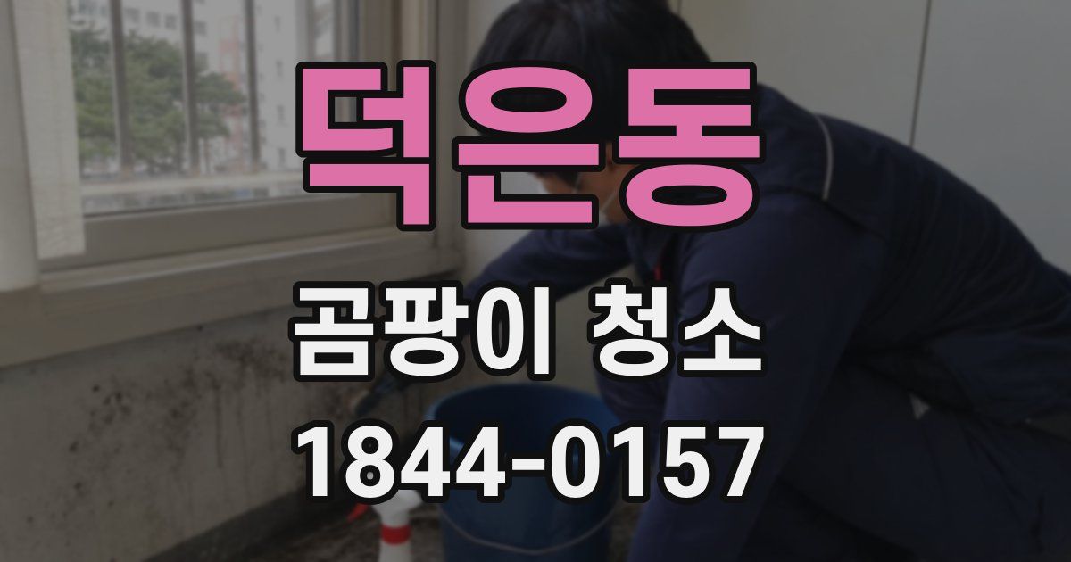 덕은동 곰팡이 청소