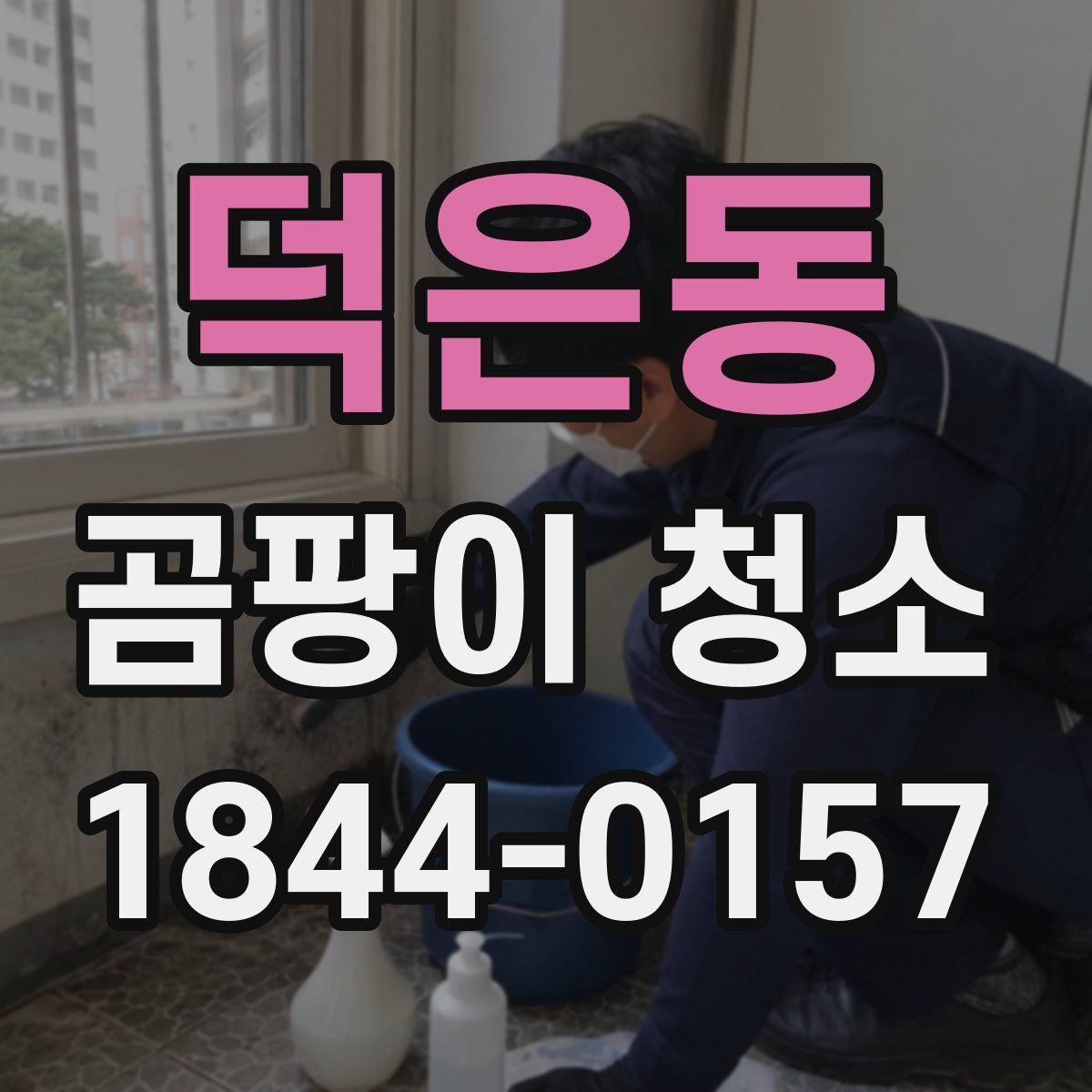 덕은동 곰팡이 청소