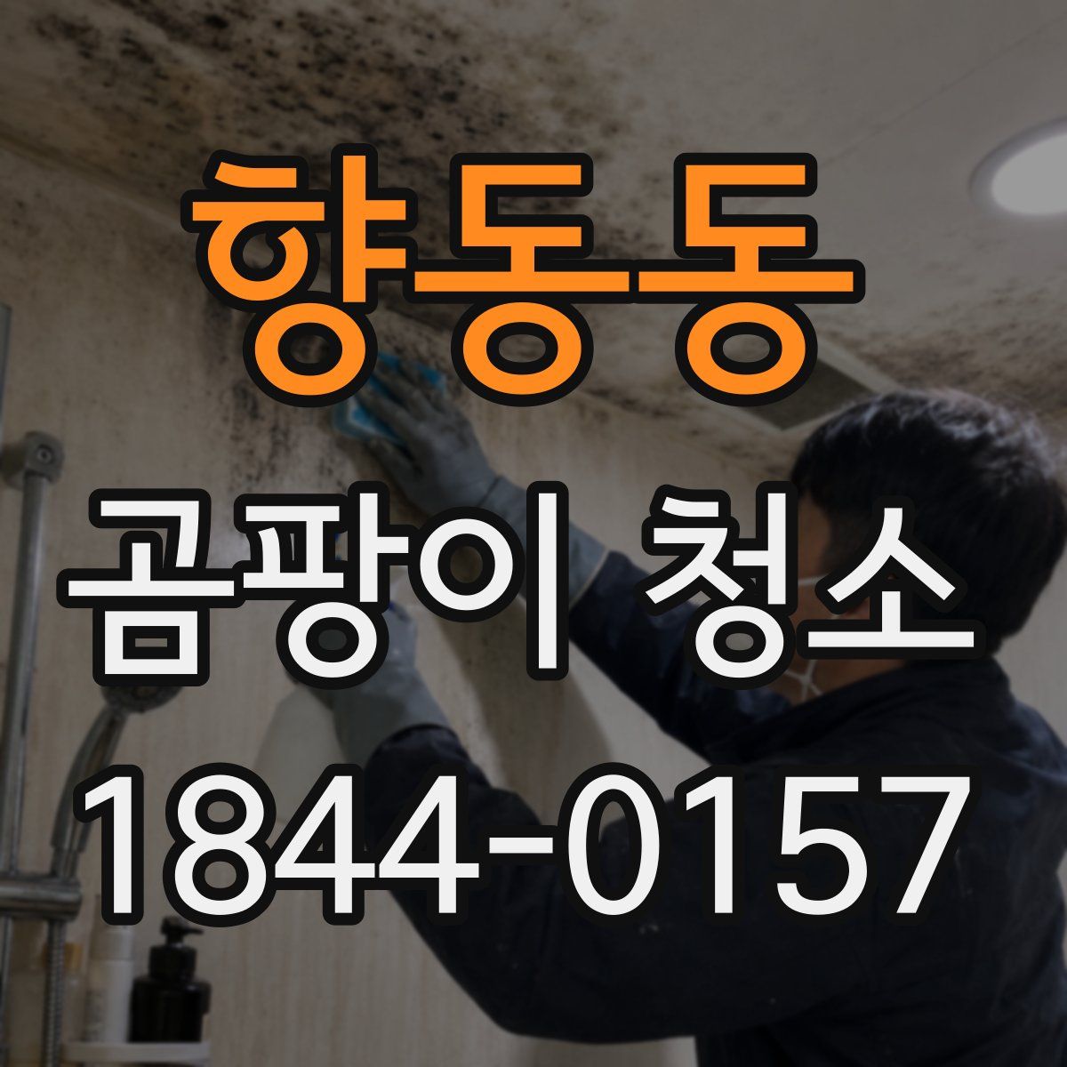 향동동 곰팡이 청소