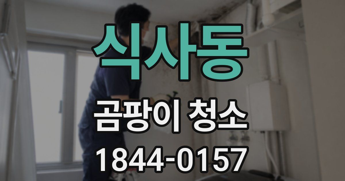 식사동 곰팡이 청소
