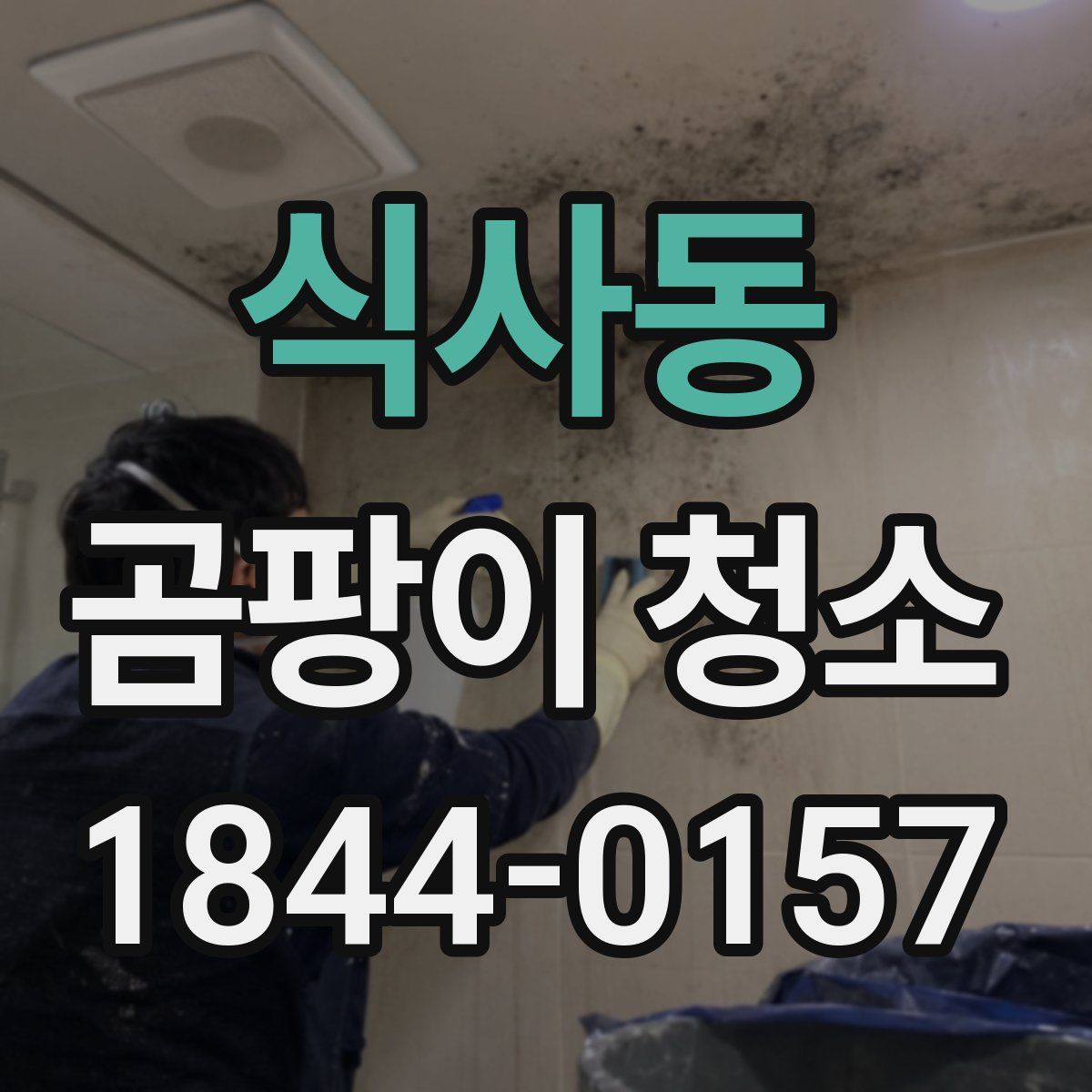 식사동 곰팡이 청소