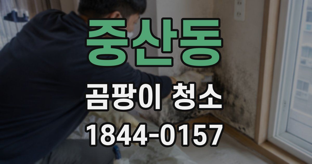 중산동 곰팡이 청소