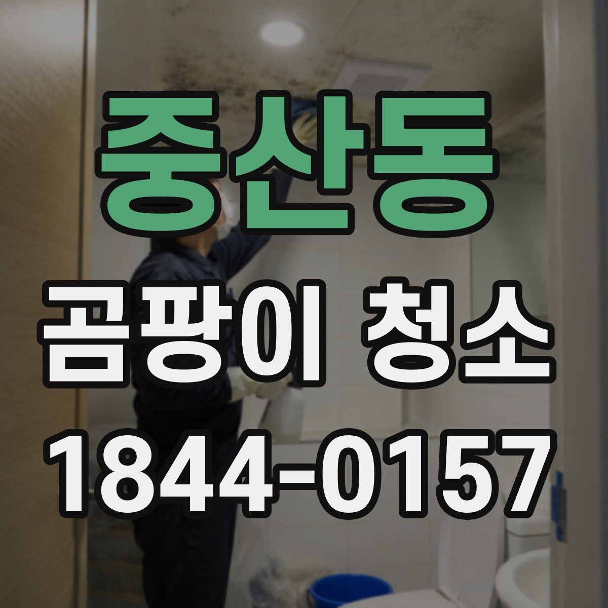 중산동 곰팡이 청소