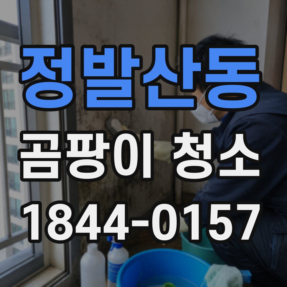 정발산동 곰팡이 청소