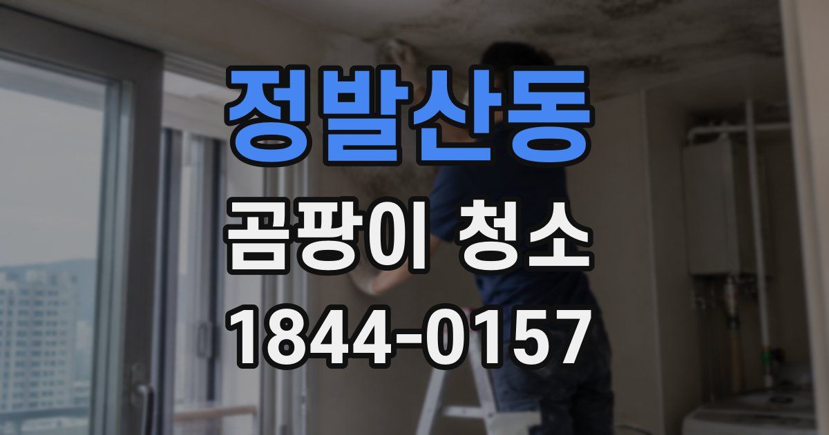 정발산동 곰팡이 청소