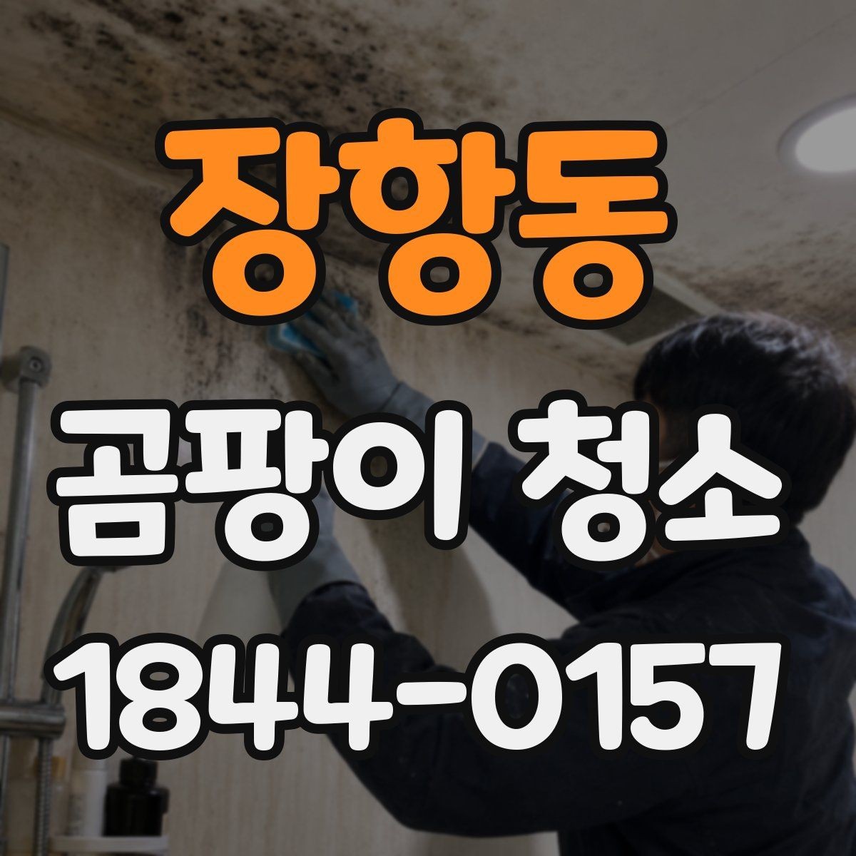 장항동 곰팡이 청소 주방과 욕실은 이렇게 다르게 봐야 하는 이유
