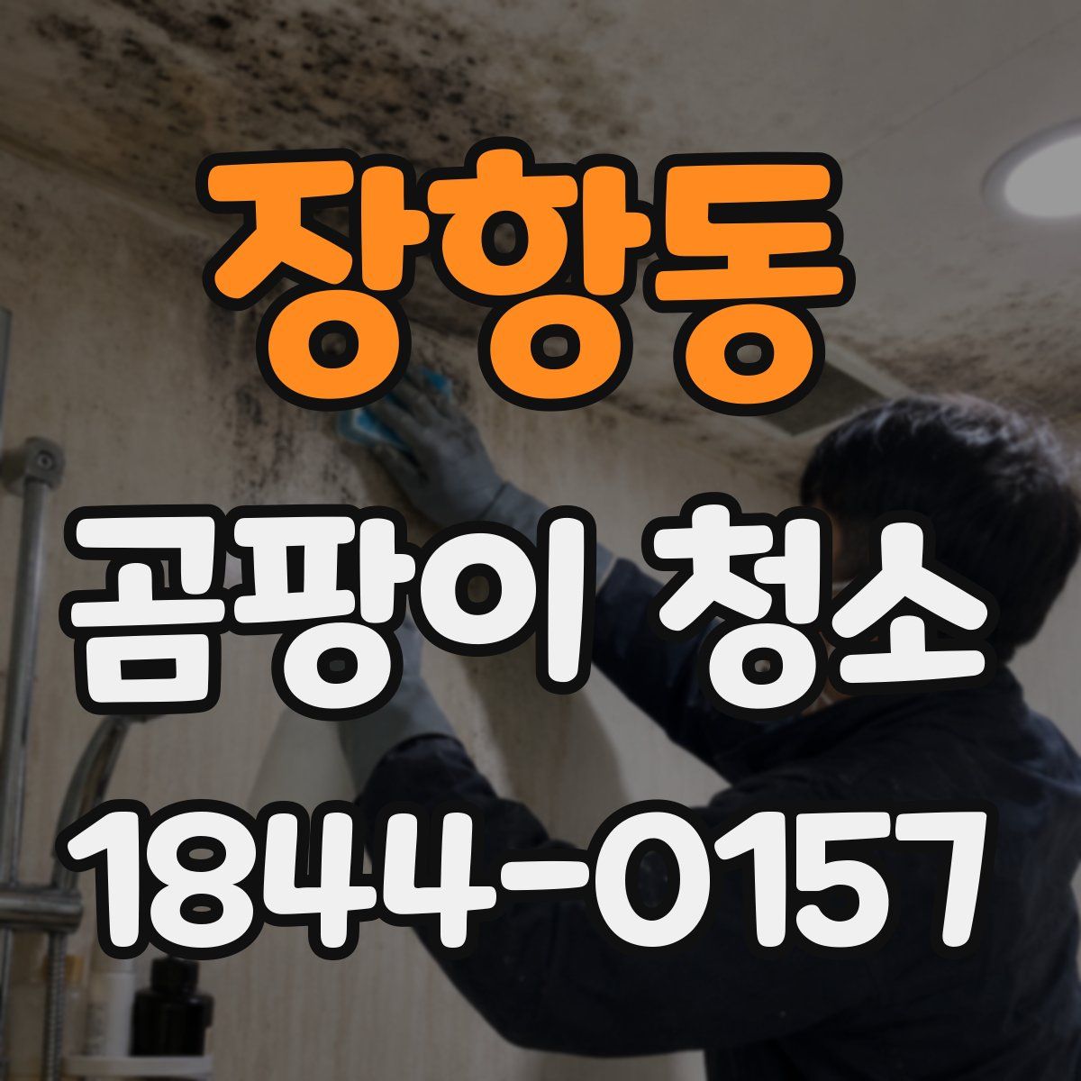 장항동 곰팡이 청소