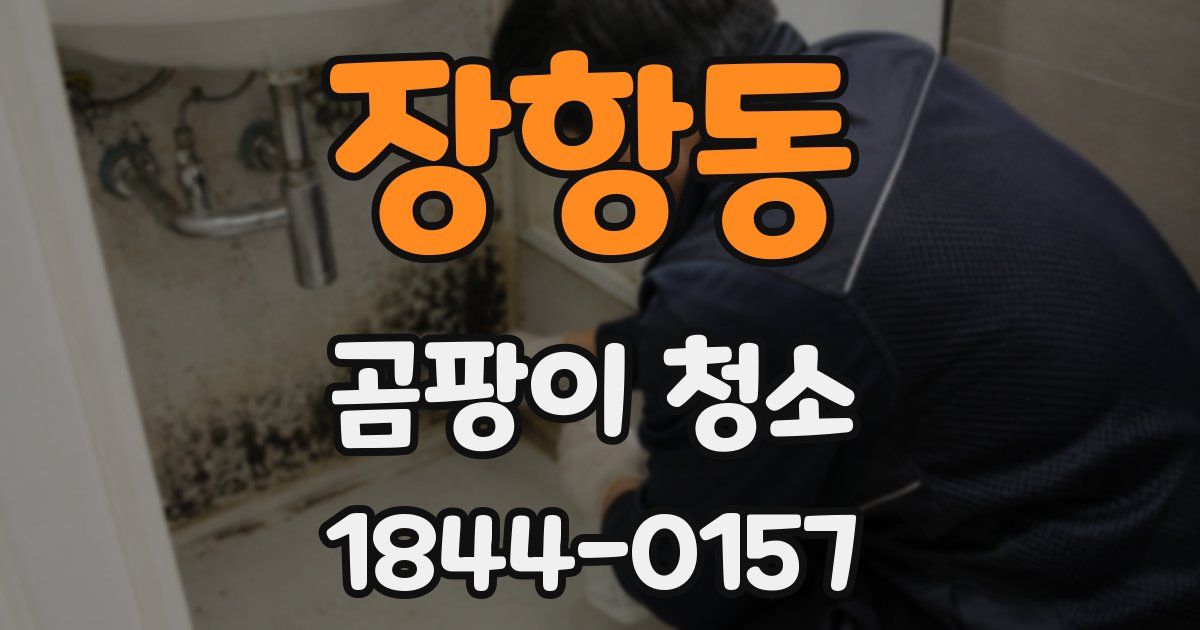 장항동 곰팡이 청소