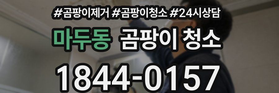 마두동 곰팡이 청소