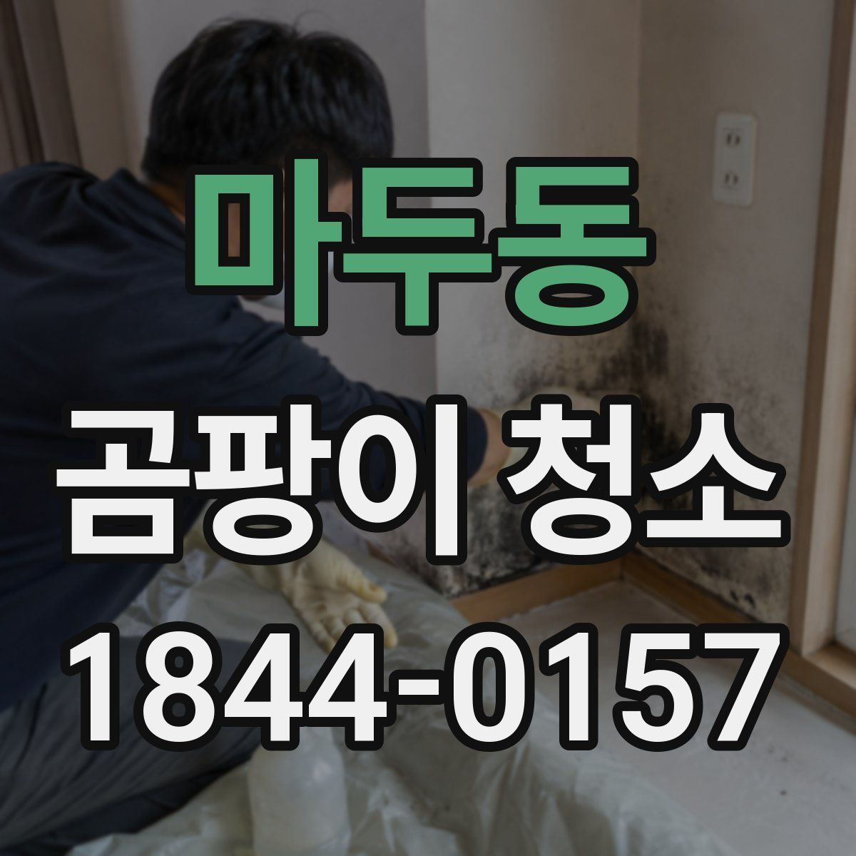 마두동 곰팡이 청소