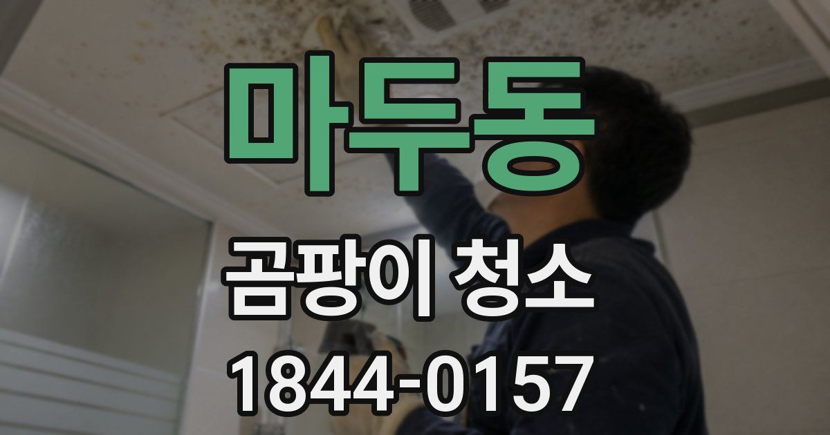 마두동 곰팡이 청소
