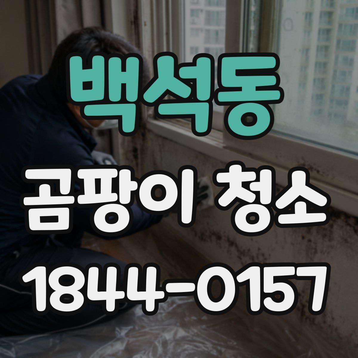 백석동 곰팡이 청소
