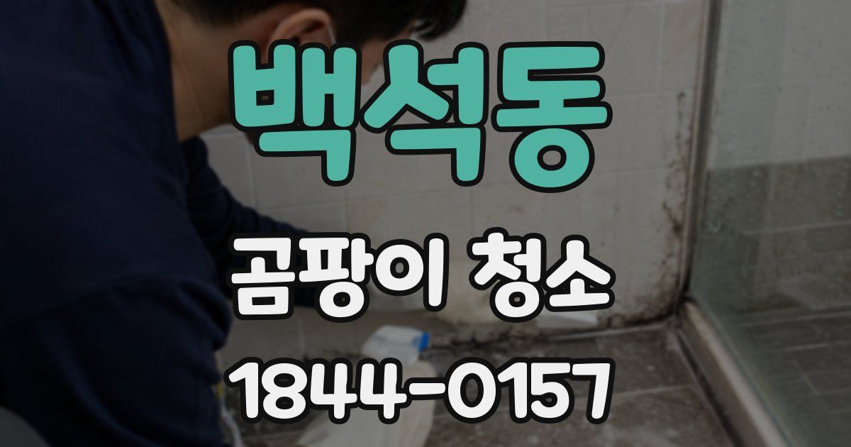 백석동 곰팡이 청소