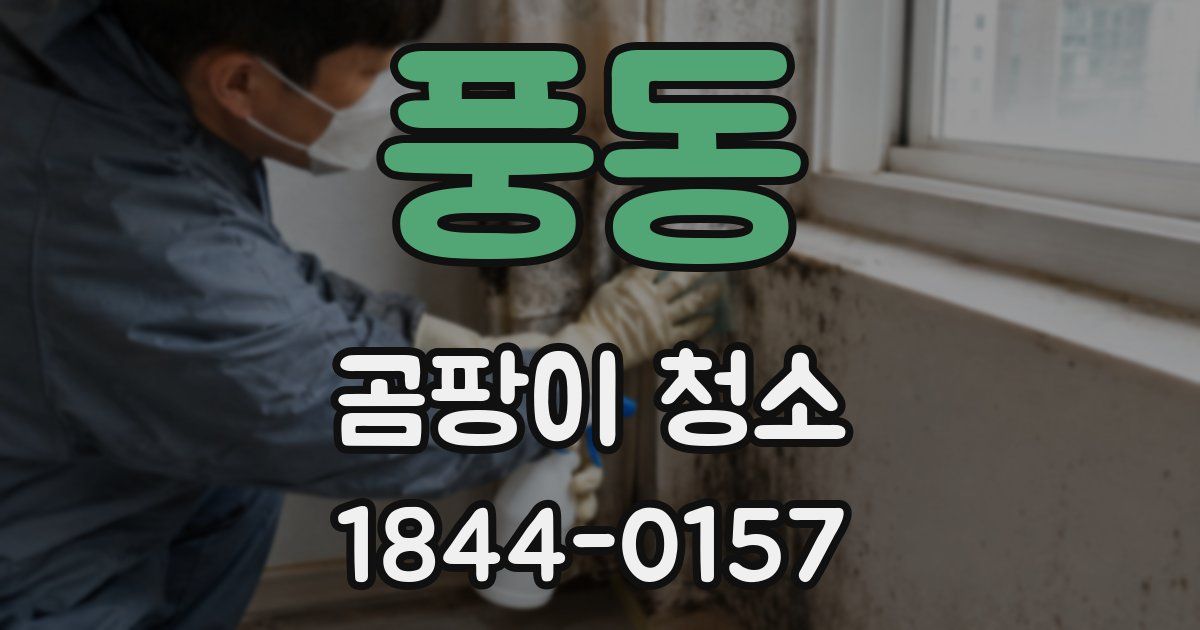 풍동 곰팡이 청소