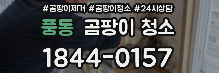 풍동 곰팡이 청소