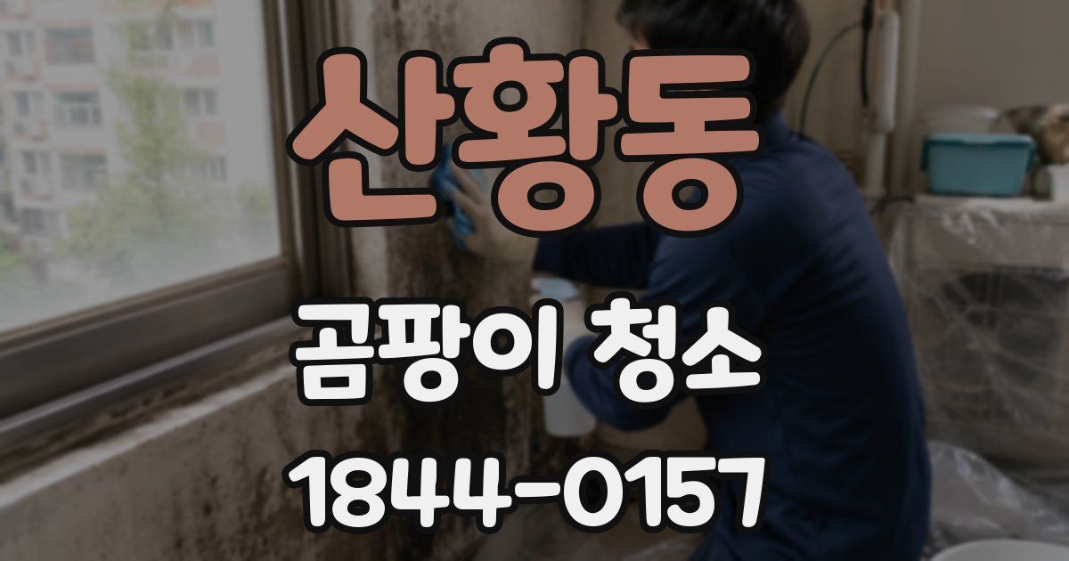 산황동 곰팡이 청소