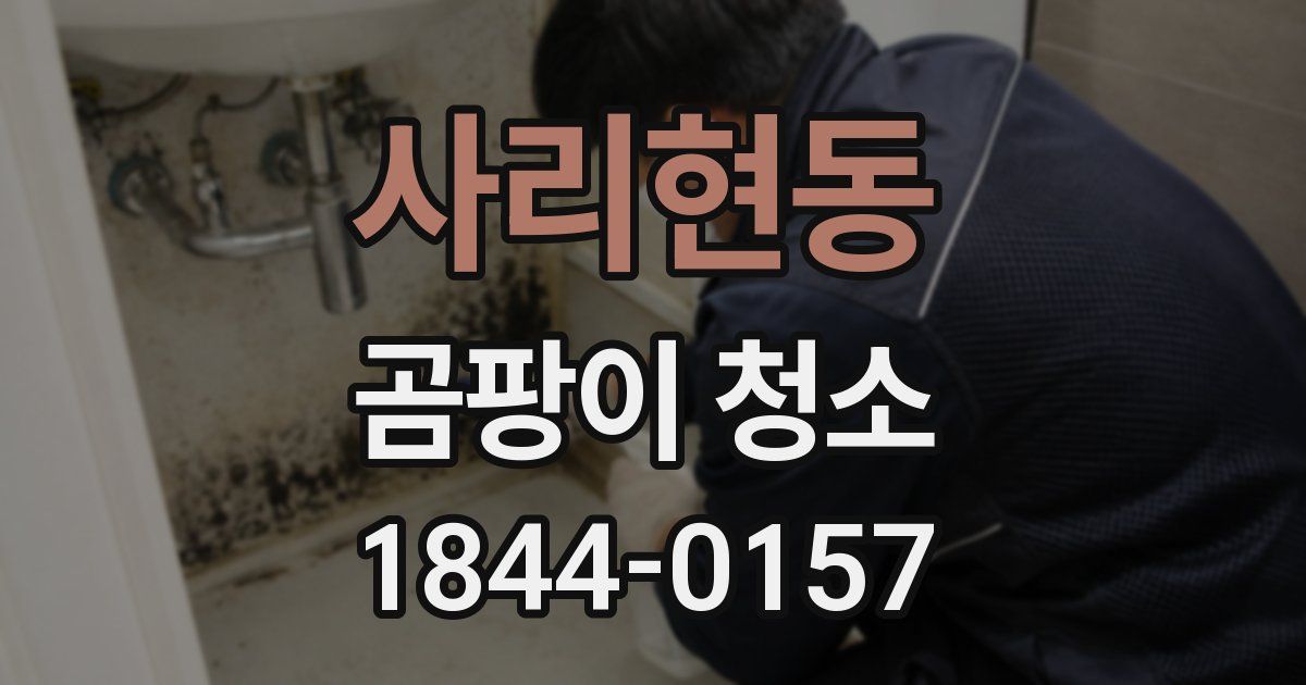 사리현동 곰팡이 청소