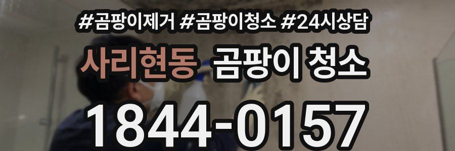 사리현동 곰팡이 청소