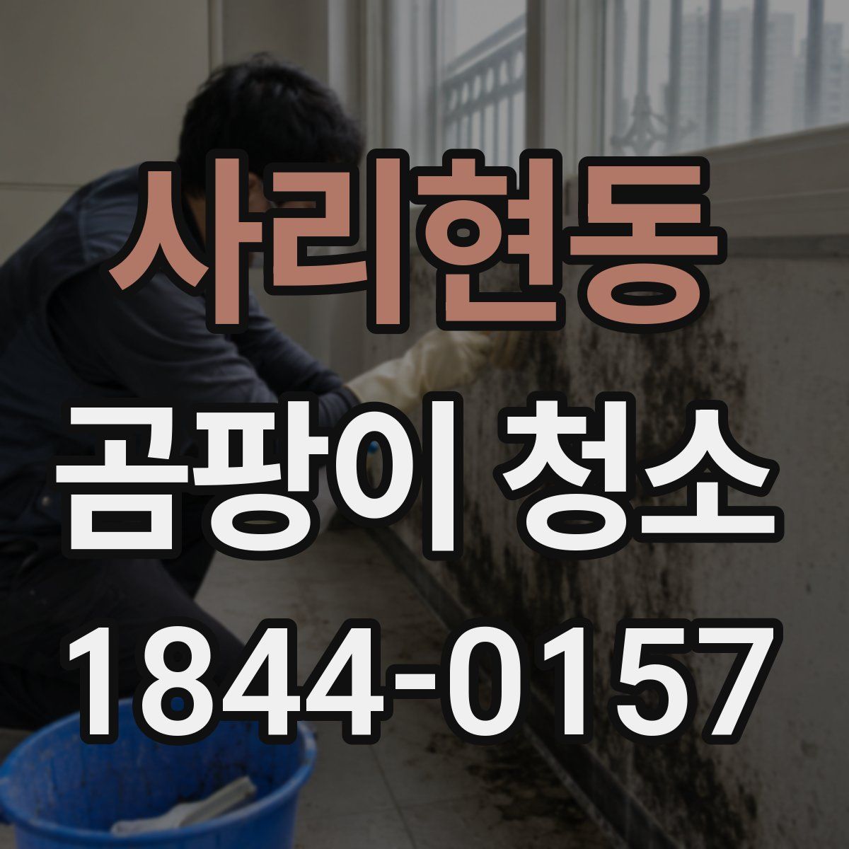 사리현동 곰팡이 청소