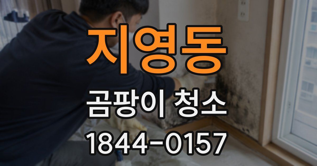 지영동 곰팡이 청소
