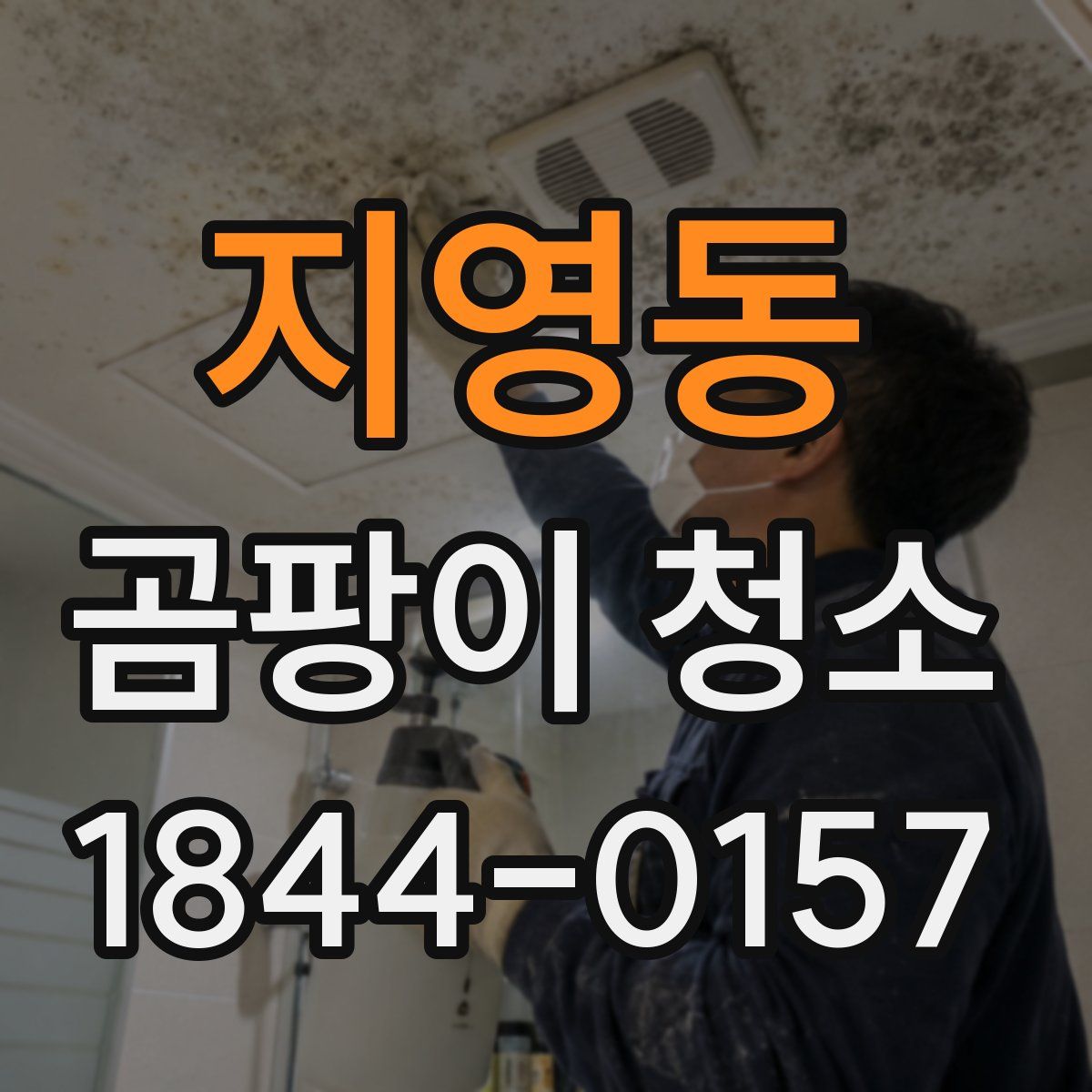 지영동 곰팡이 청소