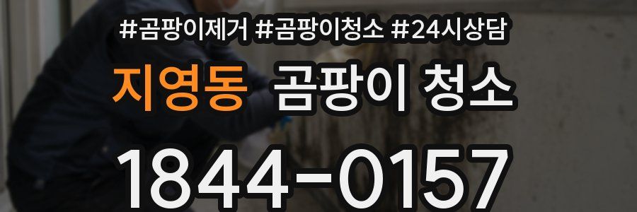 지영동 곰팡이 청소