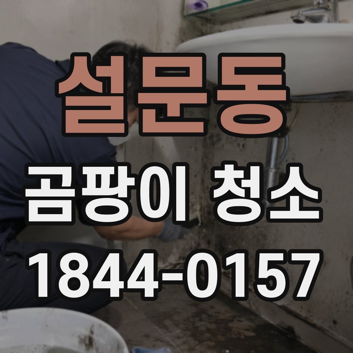 설문동 곰팡이 청소